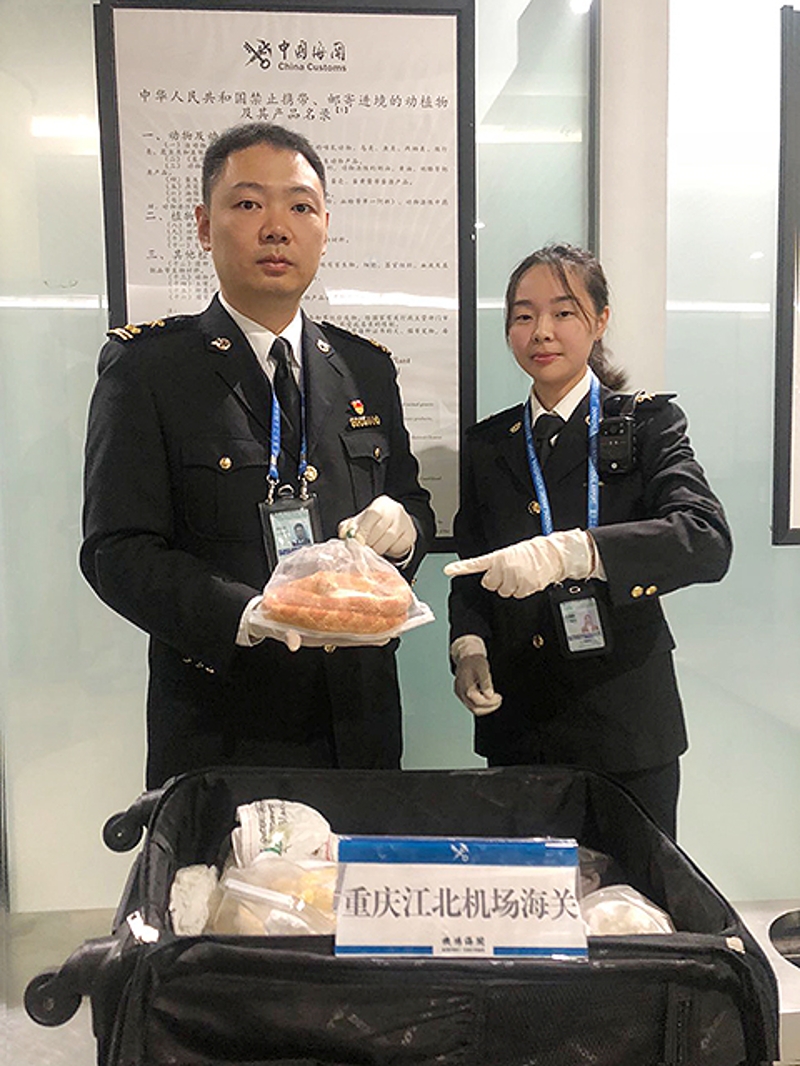 10月25日，重庆海关旅检渠道截获活体蛇21条 (3)